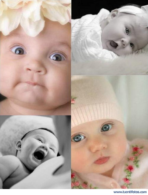 Personas de Bebés Para Comerse A Besos