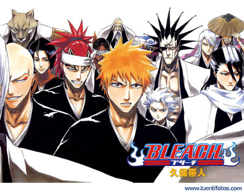 Series de Bleach