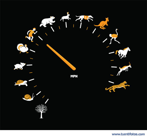 Objetos de Del Más Rapido al Más Parado