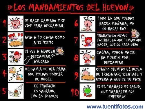 Textos de Los Mandamientos Del Huevon