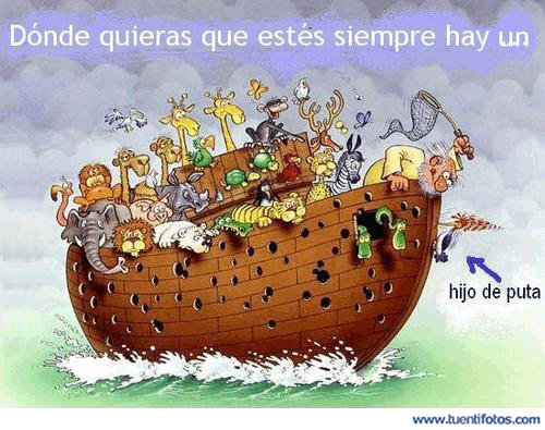 Animales de Siempre Hay Un Hijo De Puta