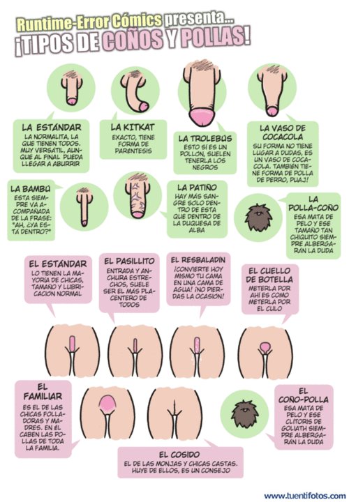 Objetos de Tipos De Genitales