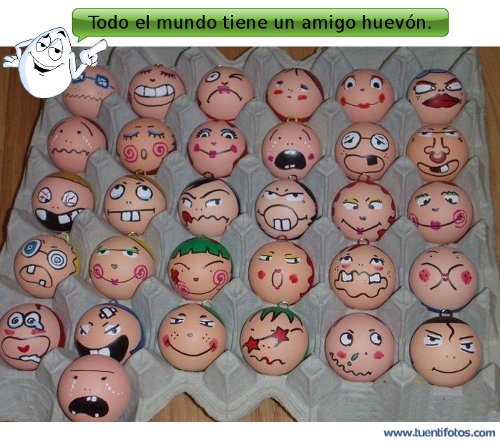 Objetos de Todo El Mundo Tiene Un Amigo Huevón