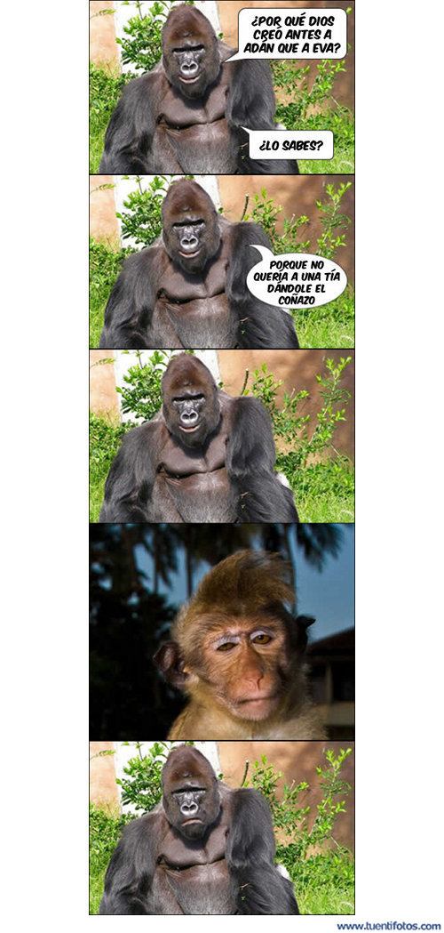 Machista de Adan Antes Que Eva