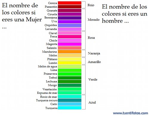 Feminista de Colores Hombre Mujer