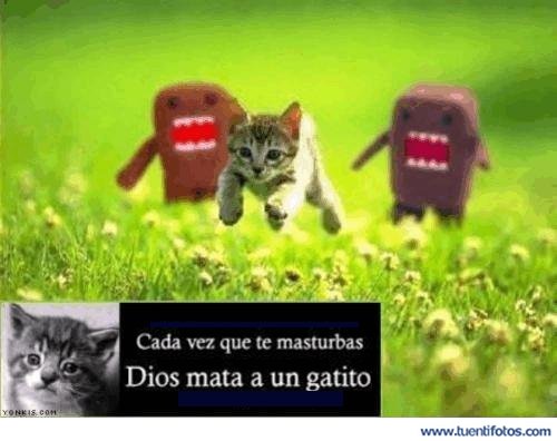 Animales de Cada Vez Que Te Masturbas