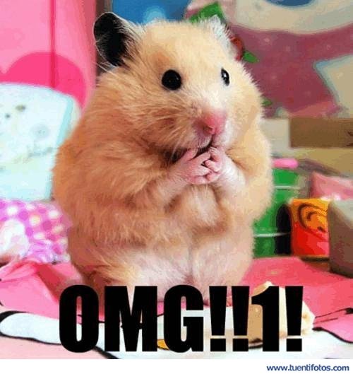 Animales de Hamster OMG