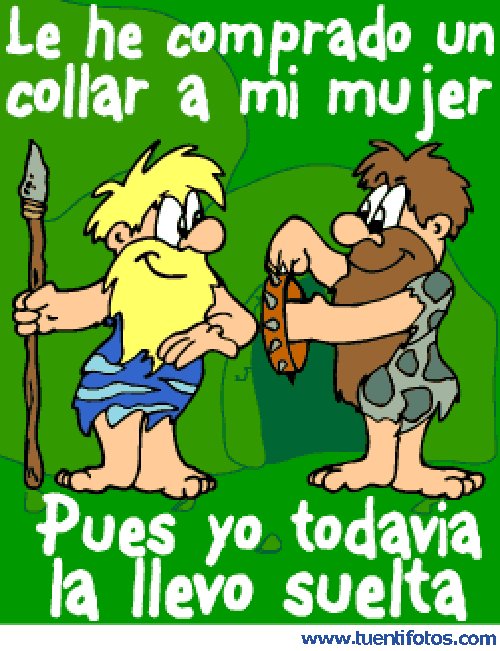 Machista de Le He Comprado Un Collar