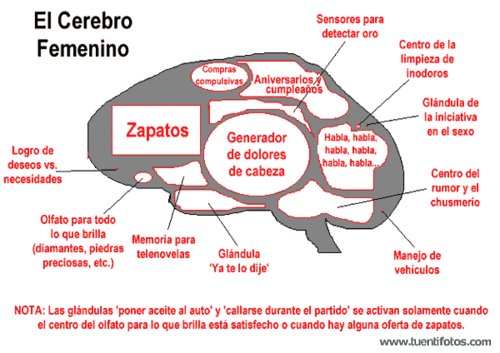 Machista de Otro Cerebro Femenino