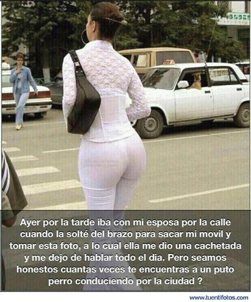 Curiosidades de Perro Conduciendo