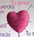 Miniatura de ¿Cómo Los Saco de Mi Corazón?