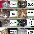 Miniatura de Lenguaje Del Gato