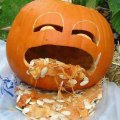 Miniatura de Calabaza Vomitando