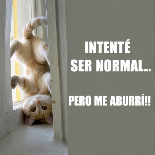 Miniatura de Intente Ser Normal