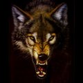 Miniatura de Lobo Oscuro
