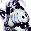 Miniatura de Alf vs Predator