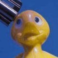 Miniatura de Comentario O El Pato Muere