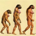 Miniatura de Evolución De La Mujer