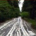Miniatura de Marcas En La Carretera