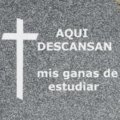 Miniatura de Mis Ganas De Estudiar