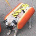 Miniatura de Perritos Calientes