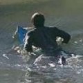 Miniatura de Surf Con Tiburones