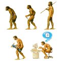 Miniatura de Tuenti Evolución