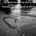Miniatura de El Amor Inmaduro