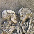 Miniatura de Amor Tras La Muerte