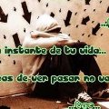 Miniatura de Aprovecha Cada Instante de Tu Vida