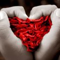 Miniatura de Corazón De Pétalos
