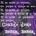 Miniatura de Cuando Duele Nunca Se Olvida
