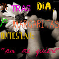 Miniatura de Deshojo las margaritas