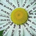 Miniatura de Me Quiere Si O Si