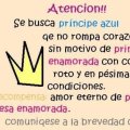 Miniatura de Se Busca Príncipe Azul