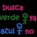 Miniatura de Se Busca Príncipe Verde