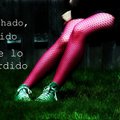 Miniatura de Se Lo Que He Perdido