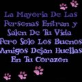 Miniatura de Solo Los Amigos Dejan Huellas