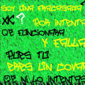 Miniatura de Soy Una Fracasada