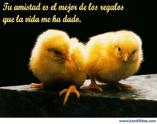 Amistad de El Mejor Regalo
